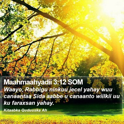 Maahmaahyadii 3:12 SOM Bible Verse Image