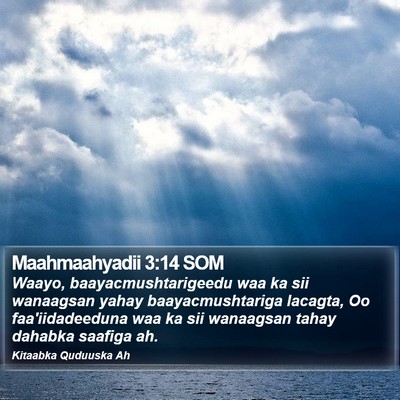 Maahmaahyadii 3:14 SOM Bible Verse Image