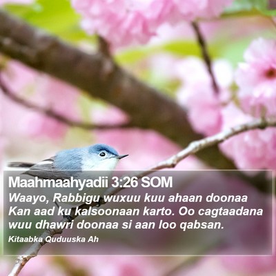 Maahmaahyadii 3:26 SOM Bible Verse Image