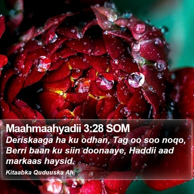 Maahmaahyadii 3:28 SOM Bible Verse Image