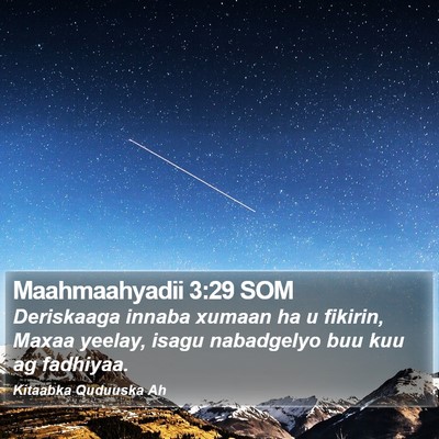 Maahmaahyadii 3:29 SOM Bible Verse Image