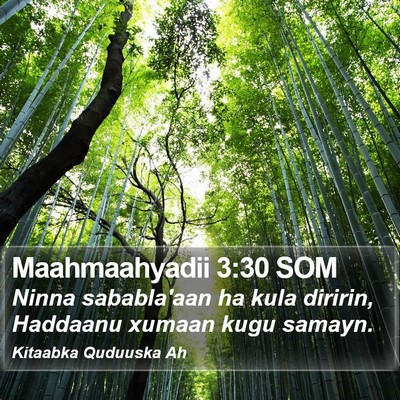 Maahmaahyadii 3:30 SOM Bible Verse Image