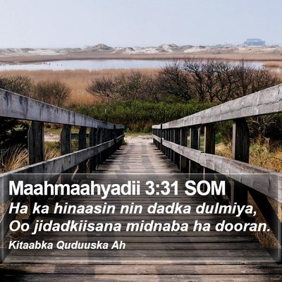 Maahmaahyadii 3:31 SOM Bible Verse Image