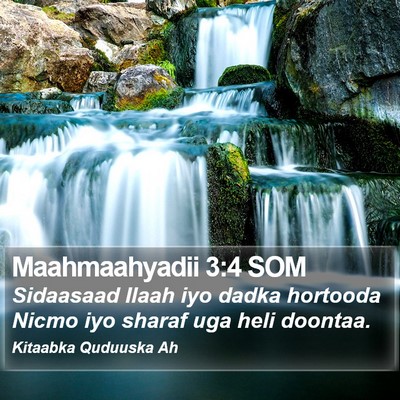 Maahmaahyadii 3:4 SOM Bible Verse Image