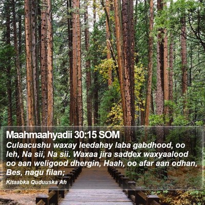 Maahmaahyadii 30:15 SOM Bible Verse Image