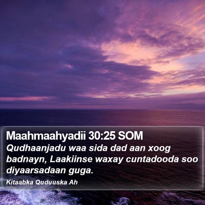 Maahmaahyadii 30:25 SOM Bible Verse Image