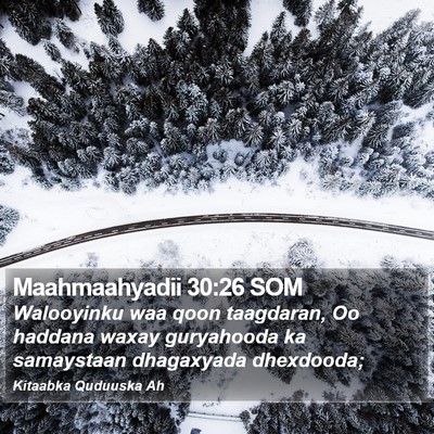 Maahmaahyadii 30:26 SOM Bible Verse Image