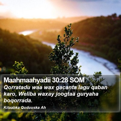 Maahmaahyadii 30:28 SOM Bible Verse Image