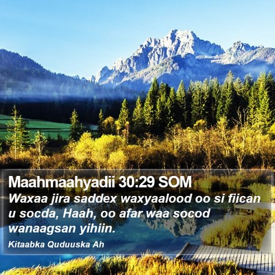 Maahmaahyadii 30:29 SOM Bible Verse Image