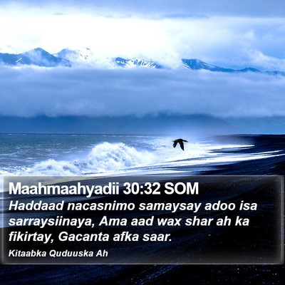 Maahmaahyadii 30:32 SOM Bible Verse Image