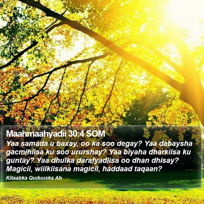 Maahmaahyadii 30:4 SOM Bible Verse Image