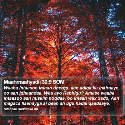 Maahmaahyadii 30:9 SOM Bible Verse Image