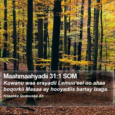 Maahmaahyadii 31:1 SOM Bible Verse Image