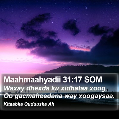 Maahmaahyadii 31:17 SOM Bible Verse Image