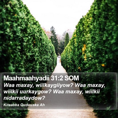 Maahmaahyadii 31:2 SOM Bible Verse Image