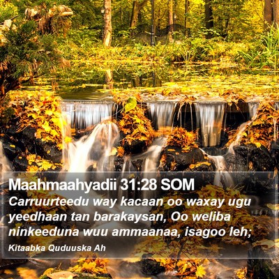 Maahmaahyadii 31:28 SOM Bible Verse Image