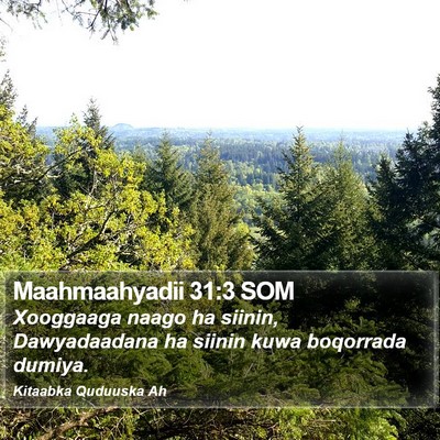 Maahmaahyadii 31:3 SOM Bible Verse Image