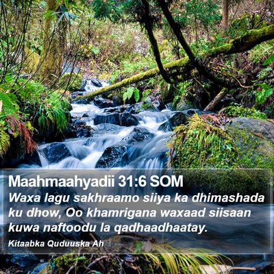 Maahmaahyadii 31:6 SOM Bible Verse Image