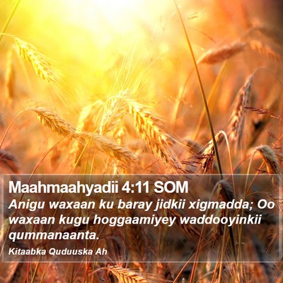 Maahmaahyadii 4:11 SOM Bible Verse Image