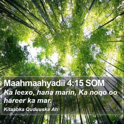 Maahmaahyadii 4:15 SOM Bible Verse Image