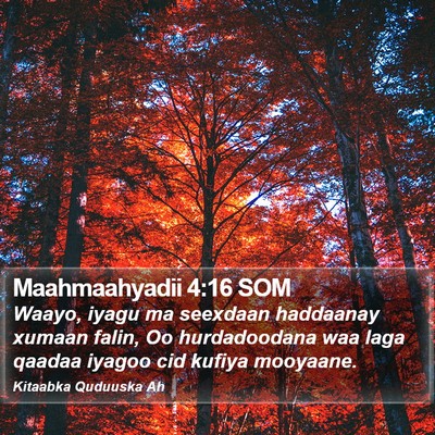 Maahmaahyadii 4:16 SOM Bible Verse Image