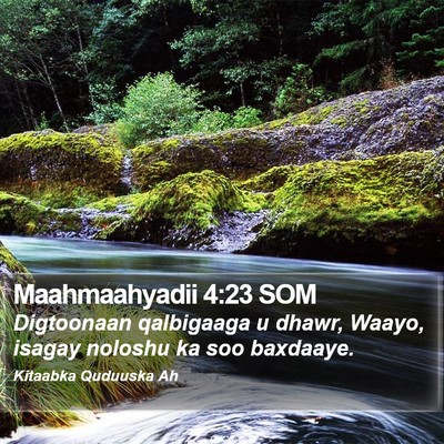 Maahmaahyadii 4:23 SOM Bible Verse Image