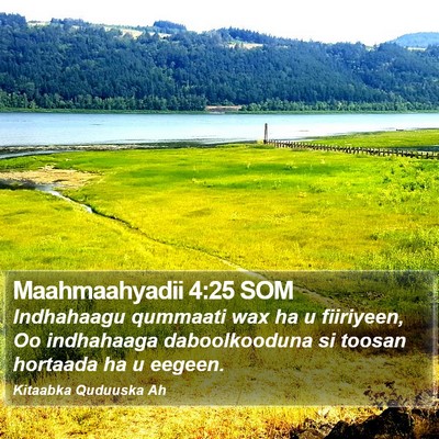 Maahmaahyadii 4:25 SOM Bible Verse Image
