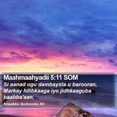 Maahmaahyadii 5:11 SOM Bible Verse Image