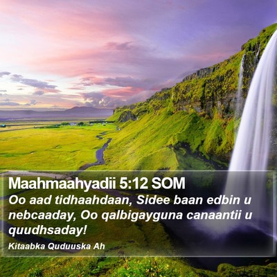 Maahmaahyadii 5:12 SOM Bible Verse Image