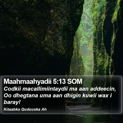 Maahmaahyadii 5:13 SOM Bible Verse Image