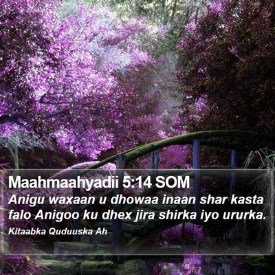 Maahmaahyadii 5:14 SOM Bible Verse Image
