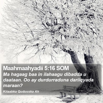 Maahmaahyadii 5:16 SOM Bible Verse Image