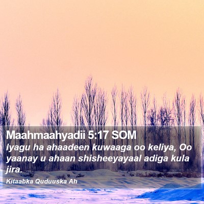 Maahmaahyadii 5:17 SOM Bible Verse Image