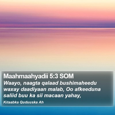 Maahmaahyadii 5:3 SOM Bible Verse Image