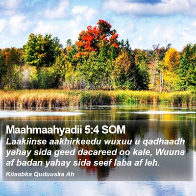 Maahmaahyadii 5:4 SOM Bible Verse Image