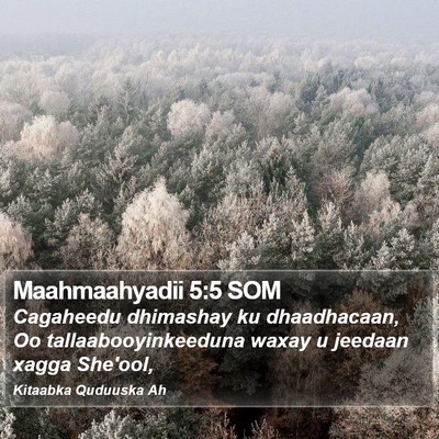 Maahmaahyadii 5:5 SOM Bible Verse Image
