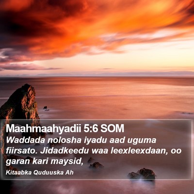 Maahmaahyadii 5:6 SOM Bible Verse Image