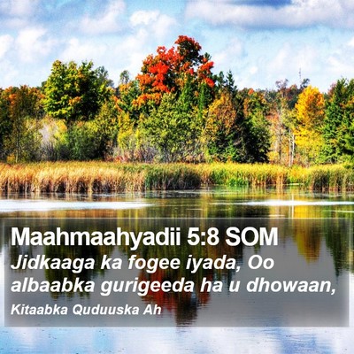 Maahmaahyadii 5:8 SOM Bible Verse Image