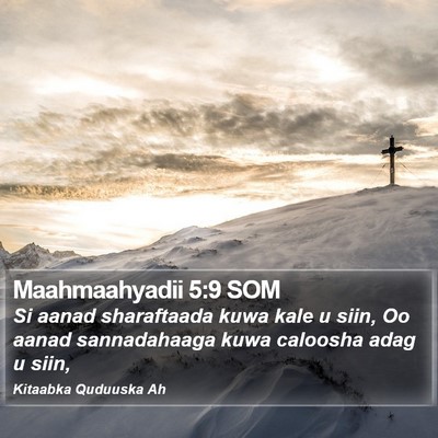 Maahmaahyadii 5:9 SOM Bible Verse Image