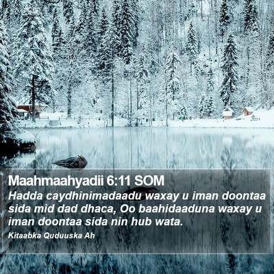 Maahmaahyadii 6:11 SOM Bible Verse Image