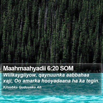 Maahmaahyadii 6:20 SOM Bible Verse Image