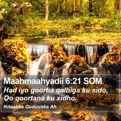 Maahmaahyadii 6:21 SOM Bible Verse Image