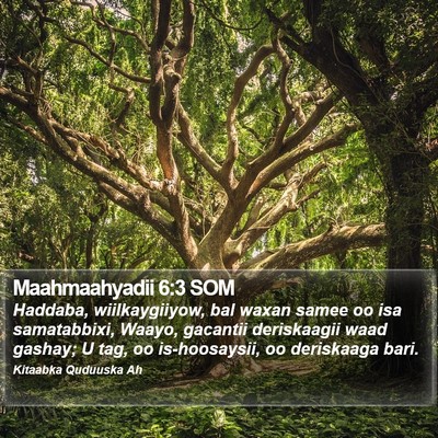 Maahmaahyadii 6:3 SOM Bible Verse Image