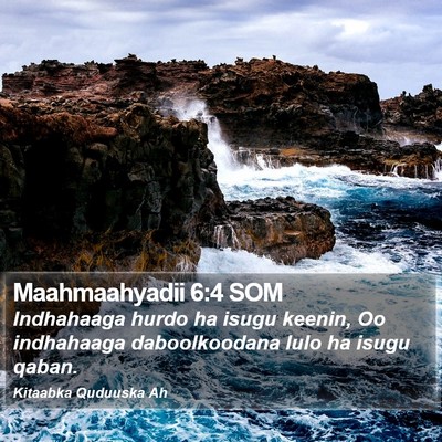 Maahmaahyadii 6:4 SOM Bible Verse Image