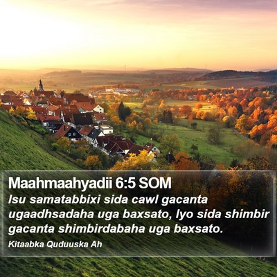 Maahmaahyadii 6:5 SOM Bible Verse Image