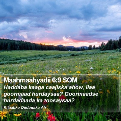 Maahmaahyadii 6:9 SOM Bible Verse Image