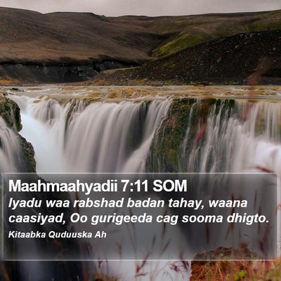 Maahmaahyadii 7:11 SOM Bible Verse Image
