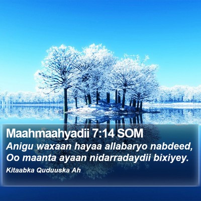 Maahmaahyadii 7:14 SOM Bible Verse Image