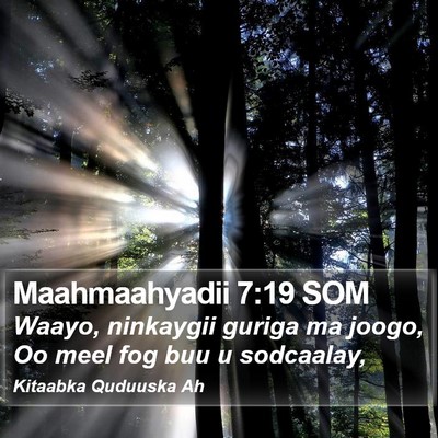 Maahmaahyadii 7:19 SOM Bible Verse Image