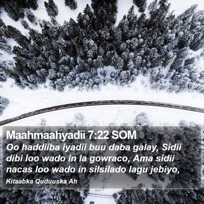 Maahmaahyadii 7:22 SOM Bible Verse Image